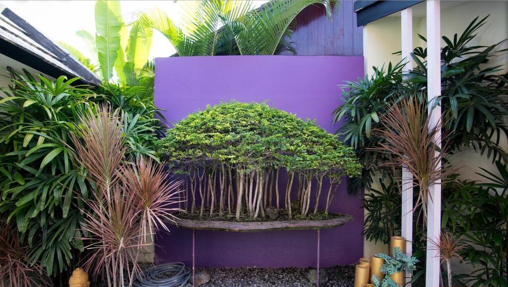 Bonsai Villas Seminyak Værelse billede