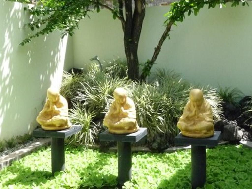 Bonsai Villas Seminyak Værelse billede